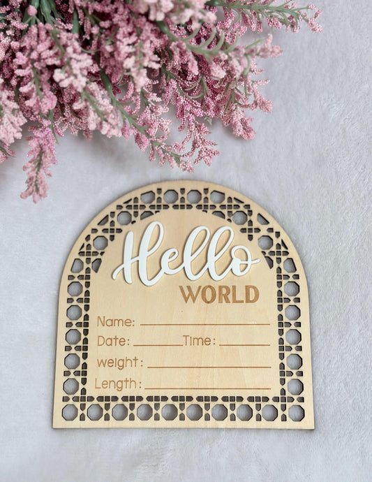 Newborn Baby Announcement Signs - Baby Chic Boutique